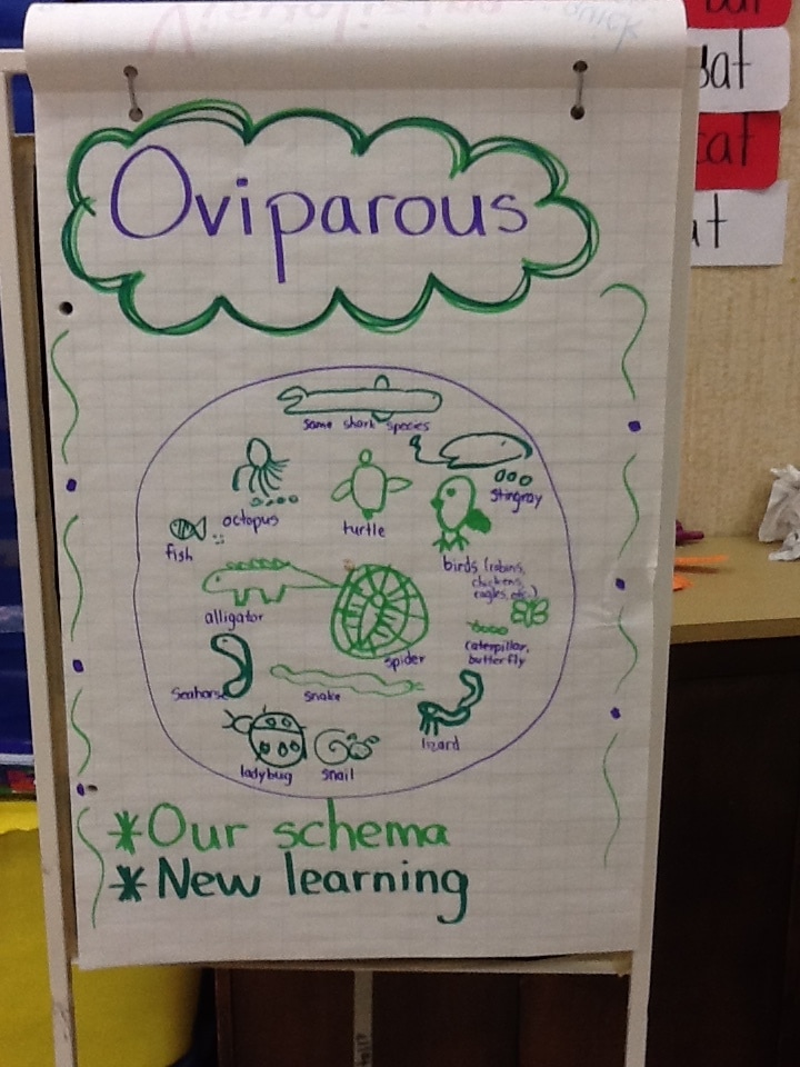 Learn and Share Day & Oviparous Animals - Ms. Holt's Grade Three Class